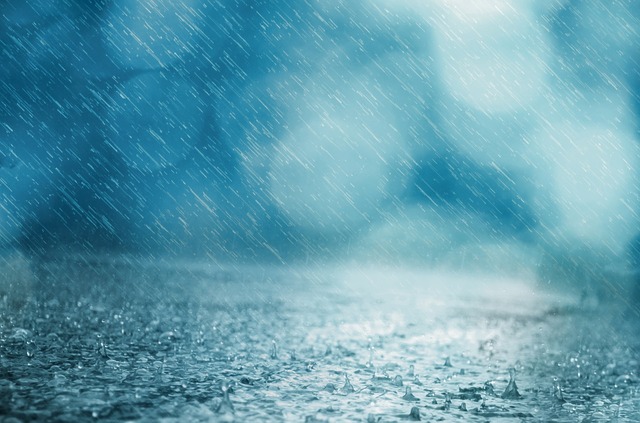 Regen WZV Altmannsteiner Gruppe